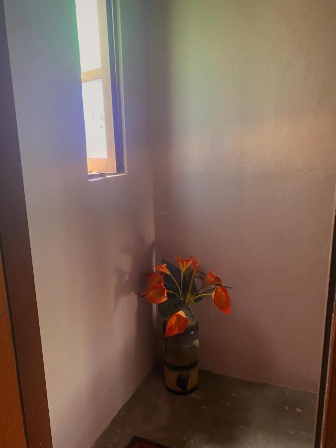 Apartamento rústico Cabo Frio Exterior foto
